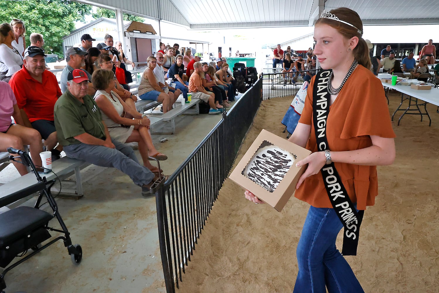 Champaign Co Fair SNS