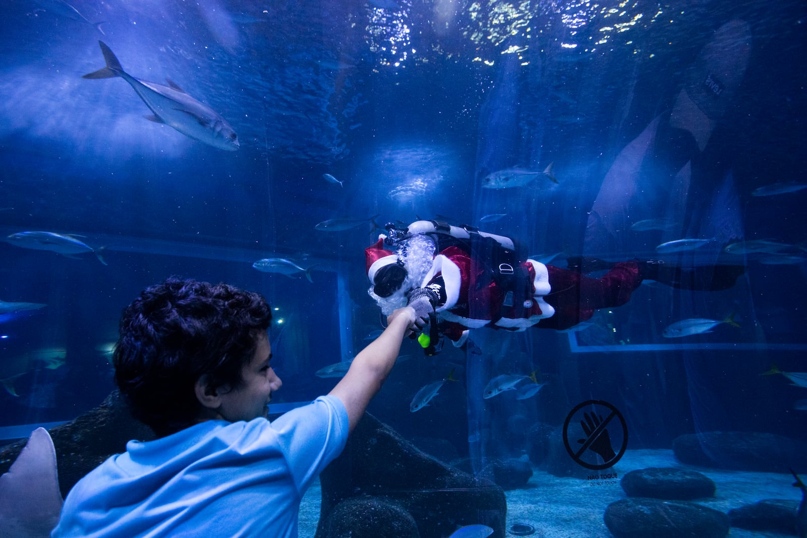 Diver Felipe Luna, dressed as Santa Claus, fist bumps a visitor, from inside a tank at the AquaRio Marine Aquarium, as part of an annual Christmas tradition, in Rio de Janeiro, Saturday, Dec. 21, 2024. (AP Photo/ Bruna Prado)