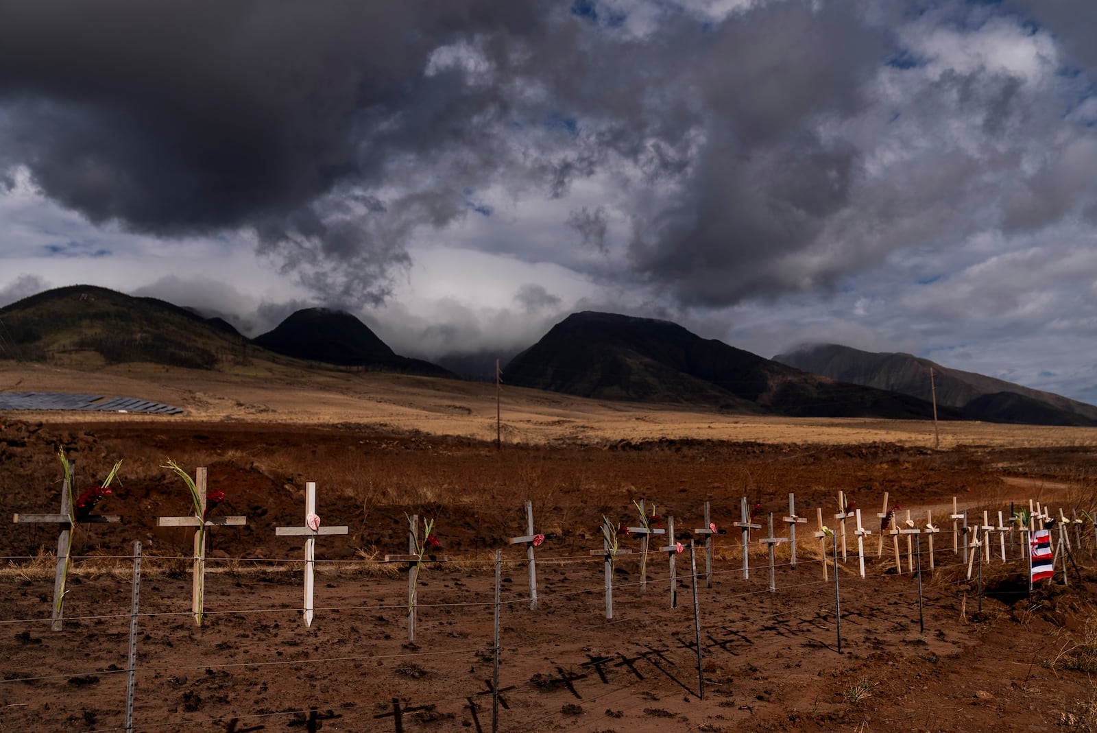 FILE - Crosses honoring victims of the Lahaina wildfire are posted along the Lahaina Bypass in Lahaina, Hawaii, Aug. 21, 2023. (AP Photo/Jae C. Hong, File)