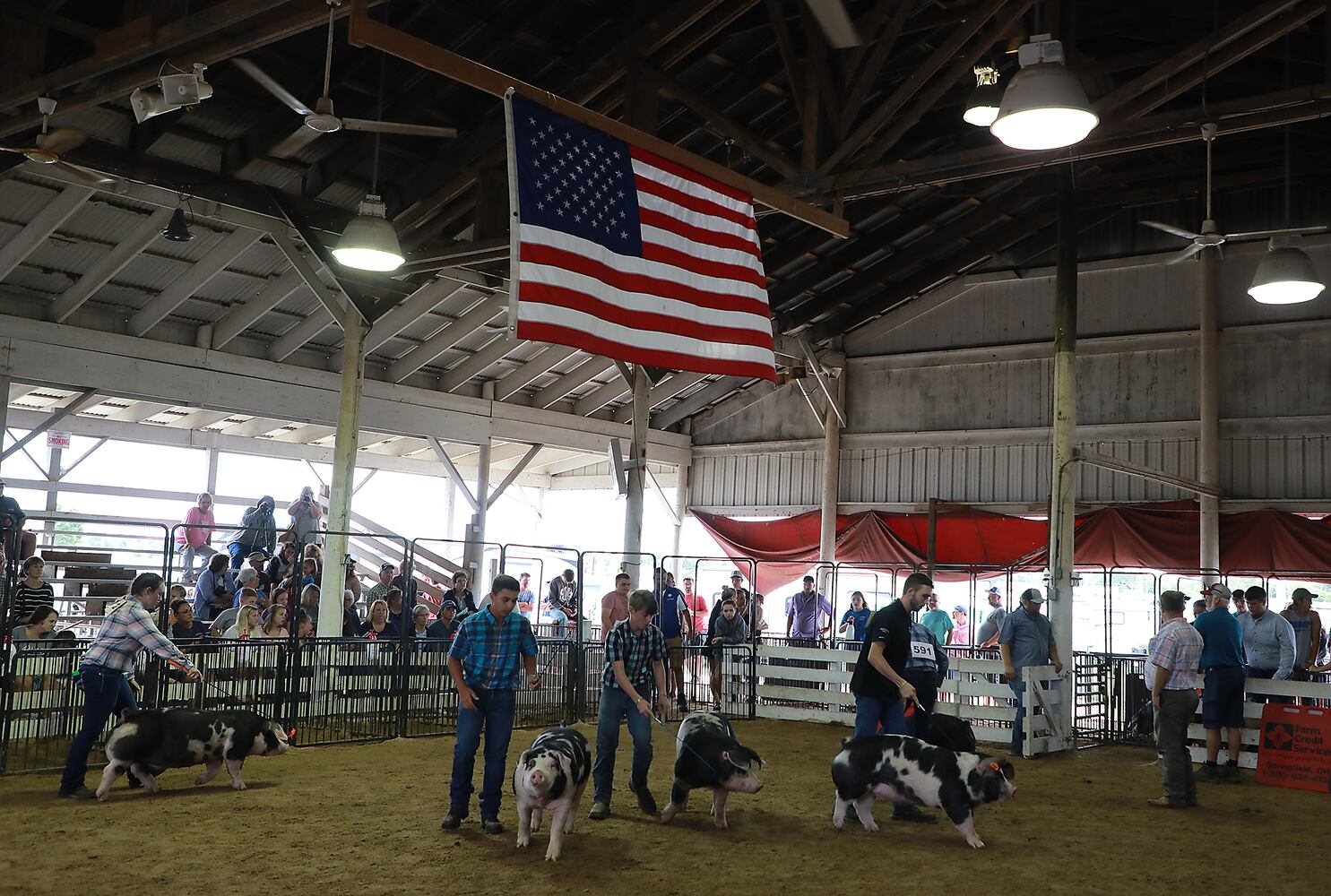 85 PHOTOS: 2019 Clark County Fair