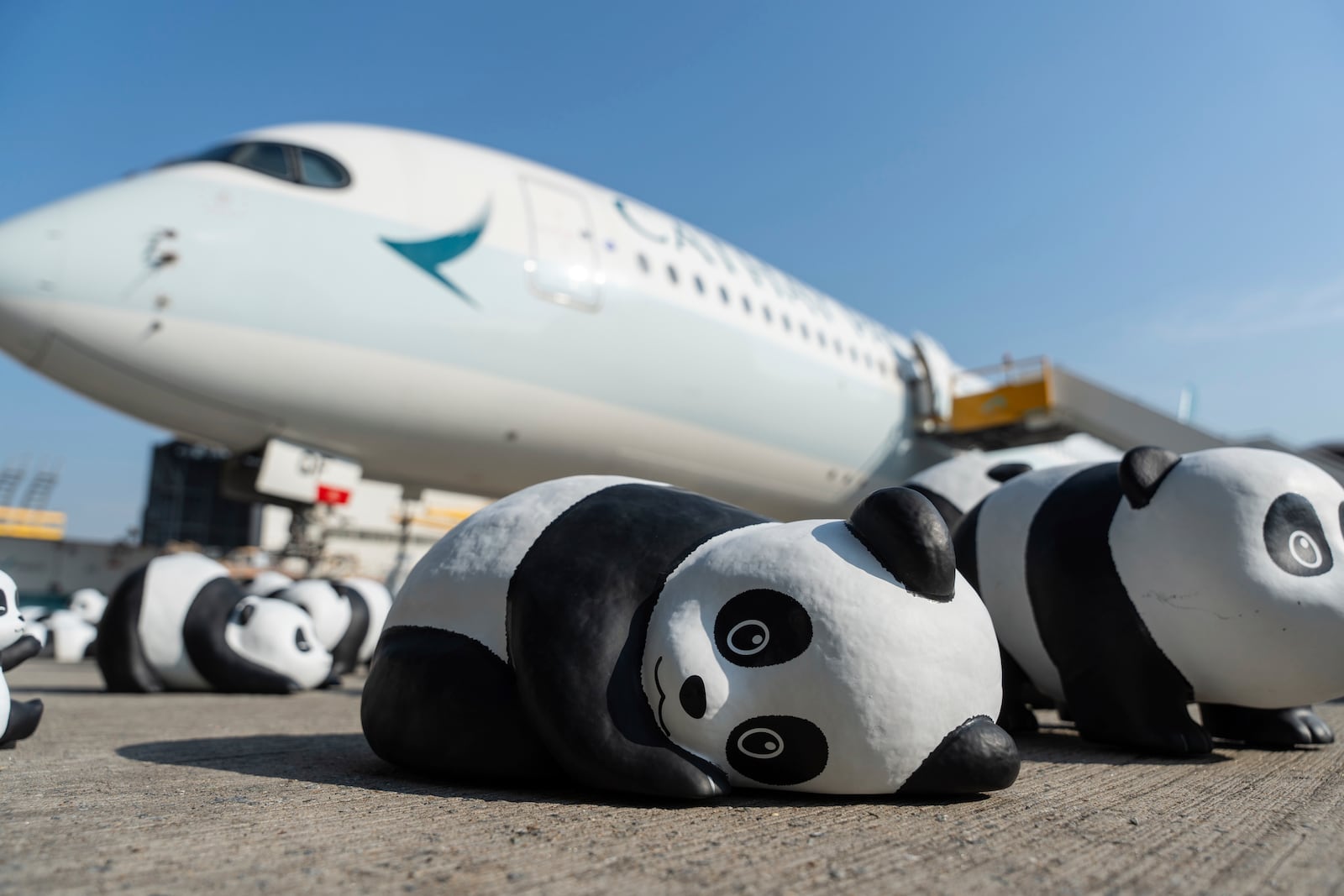 Part of the 2500 panda sculptures are displayed at the Hong Kong International Airport during the welcome ceremony of the panda-themed exhibition "Panda Go!" in Hong Kong, Monday, Dec. 2, 2024. (AP Photo/Chan Long Hei)