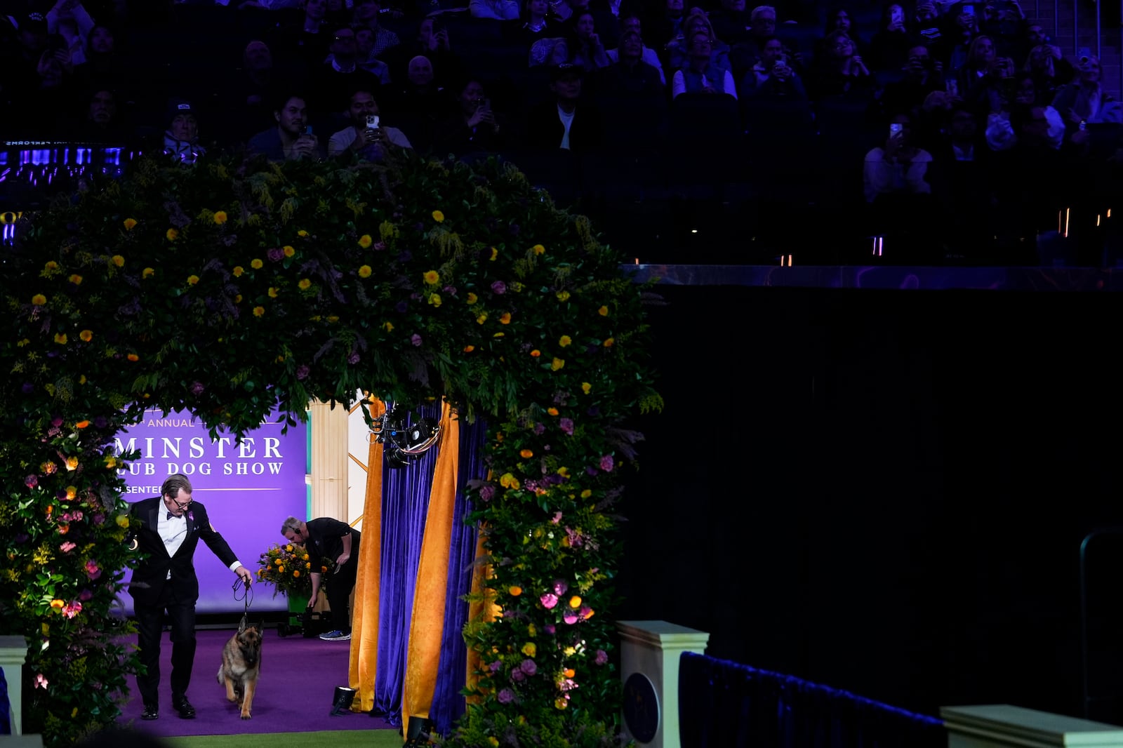 Mercedes, a German Shepard, and its handler arrive for the best in show competition during the 149th Westminster Kennel Club Dog show, Tuesday, Feb. 11, 2025, in New York. (AP Photo/Julia Demaree Nikhinson)