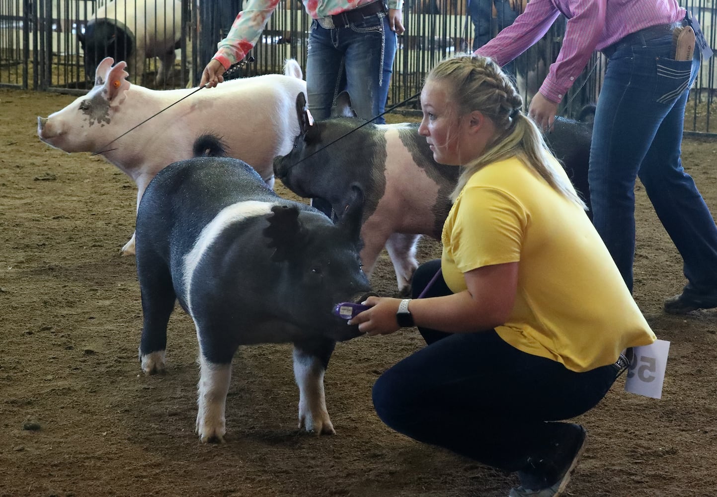 Clark County Fair