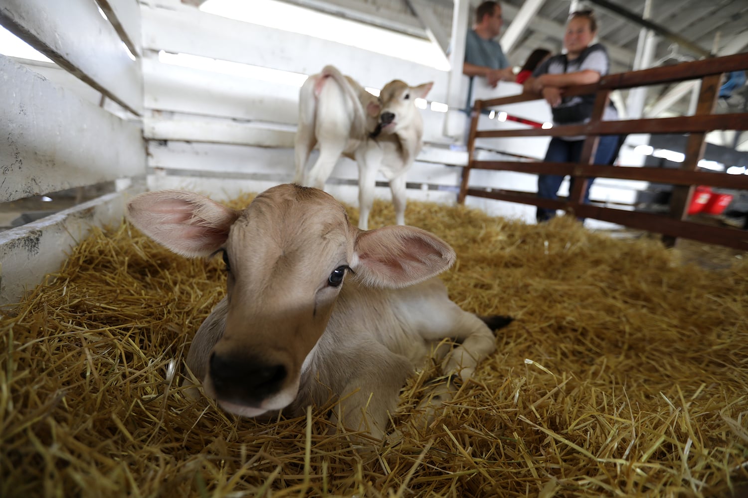 Clark County Fair