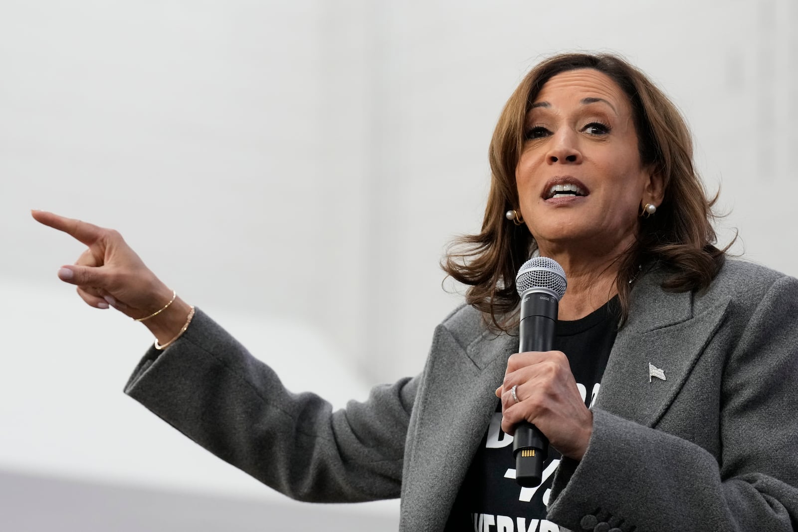 Democratic presidential nominee Vice President Kamala Harris speaks during a campaign event at Western International High School in Detroit, Saturday, Oct. 19, 2024. (AP Photo/Jacquelyn Martin)