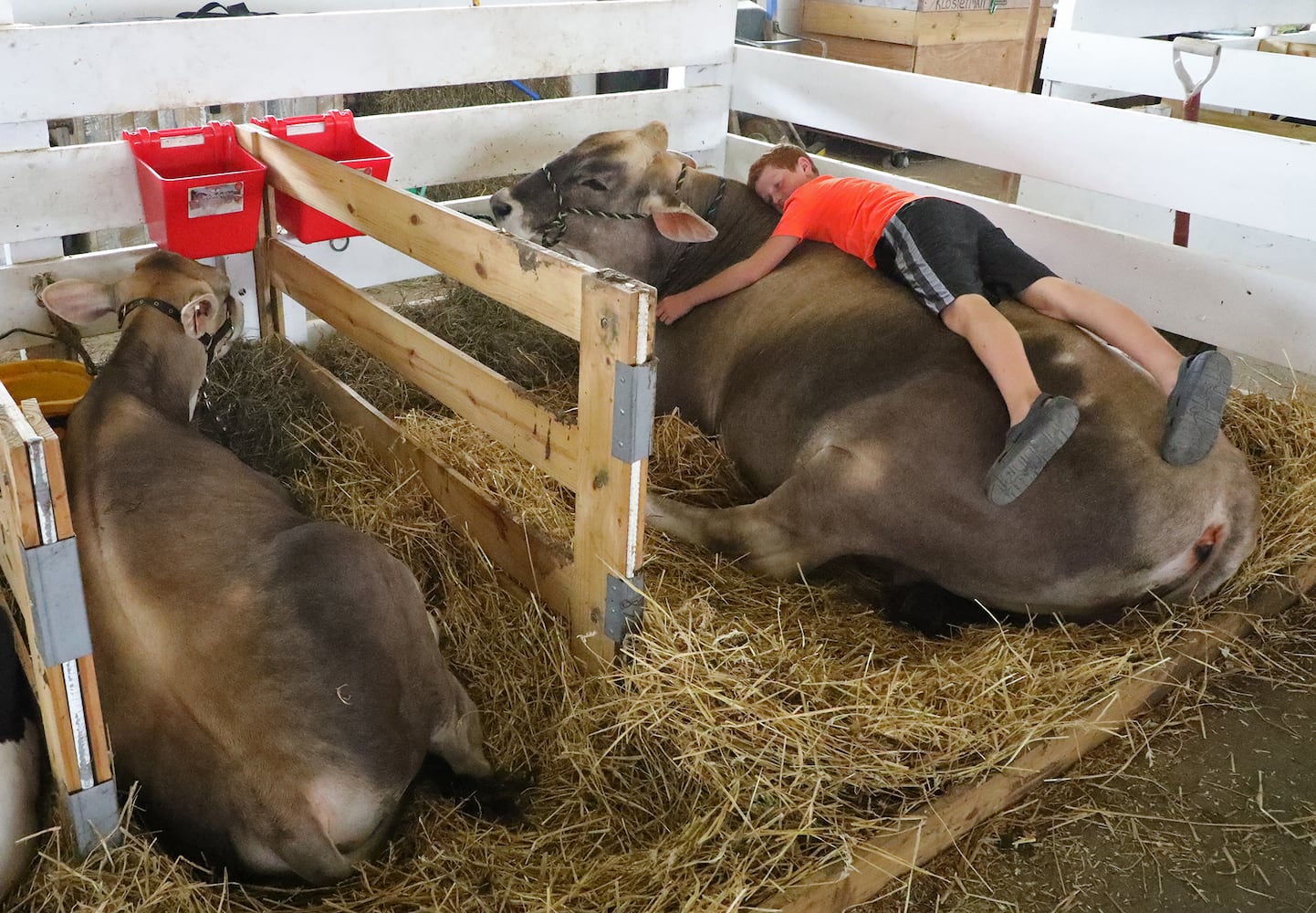 2018 Clark County Fair Day 6