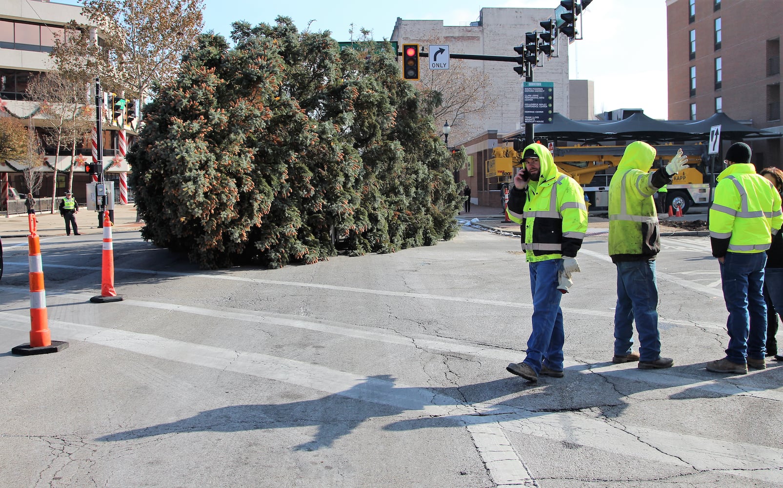 PHOTOS: Springfield Gets Holiday Tree