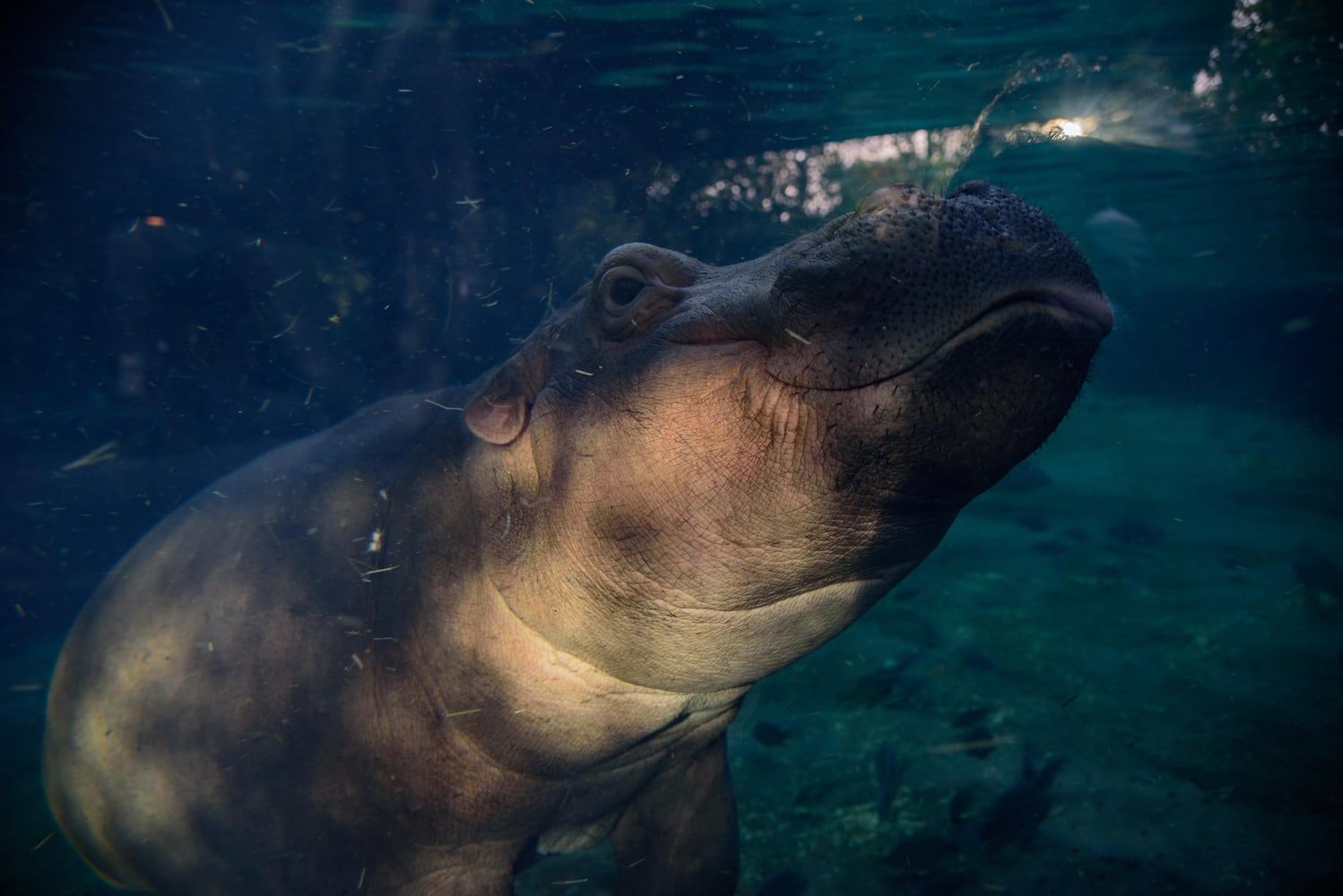 BEHIND THE SCENES: Take a look at what Fiona and Bibi are up to after hours