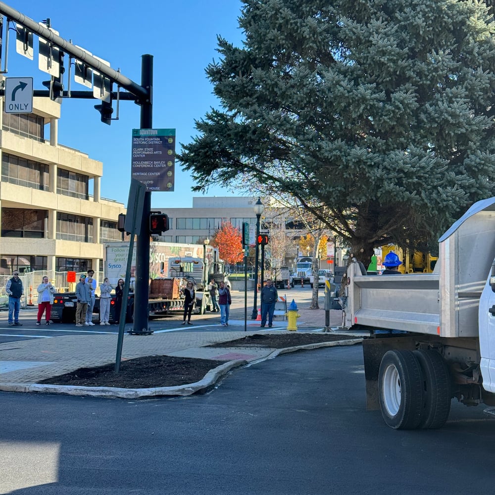 Holiday in the City Tree Arrival