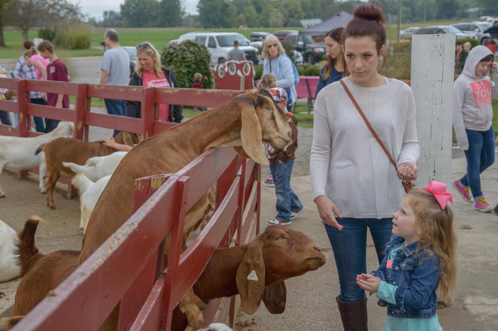 This favorite family festival was held at Young's Jersey Dairy in Yellow Springs, Ohio.