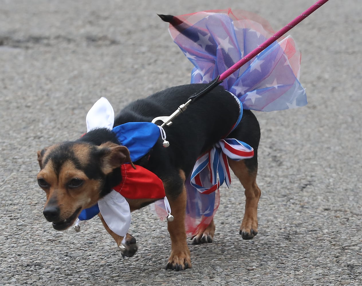 PHOTOS: 2019 Springfield Memorial Day Parade