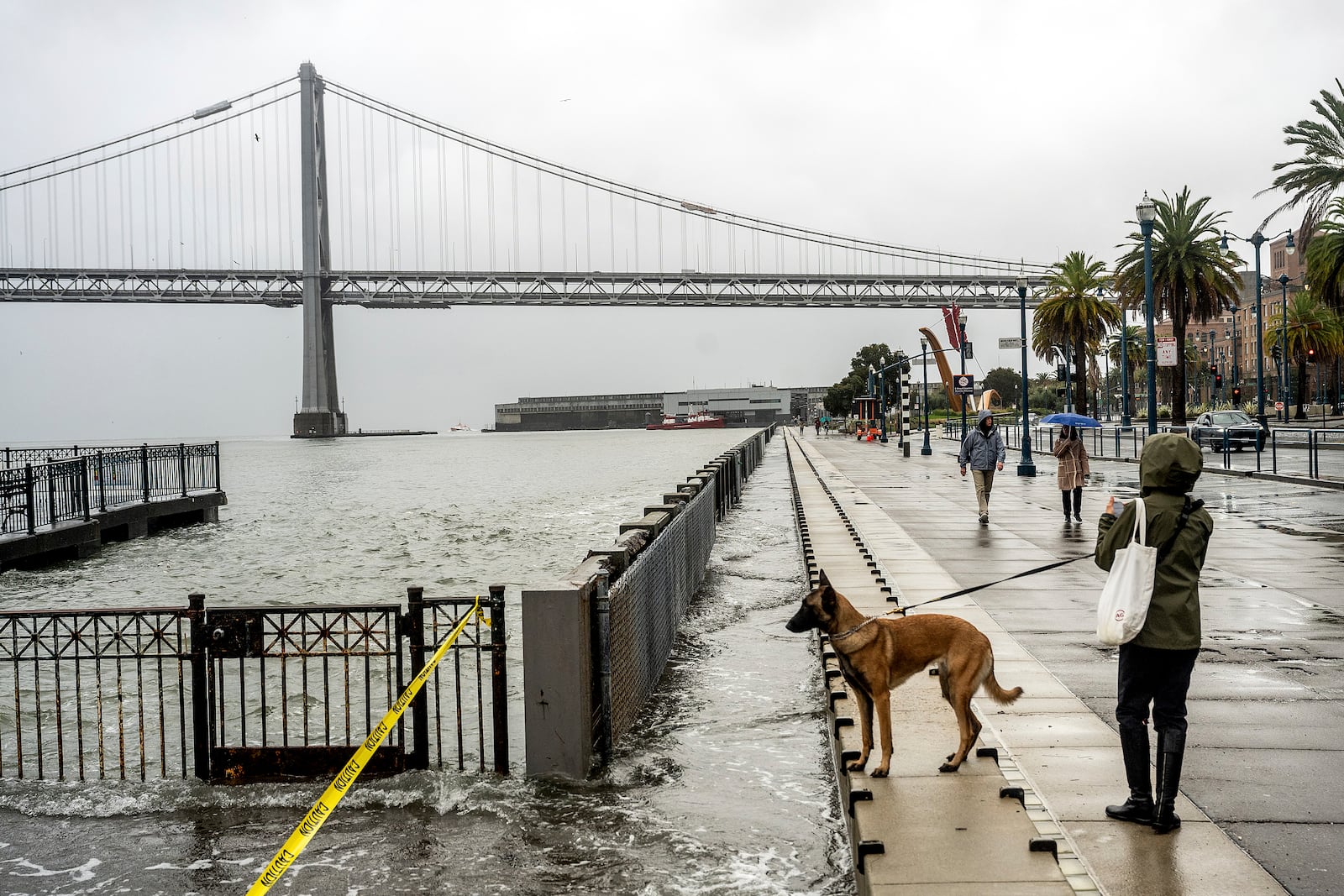 Water from the San Francisco Bay spills onto the Embarcadero in San Francisco on Saturday, Dec. 14, 2024, as a result of high tides and storm-driven waves. (AP Photo/Noah Berger)