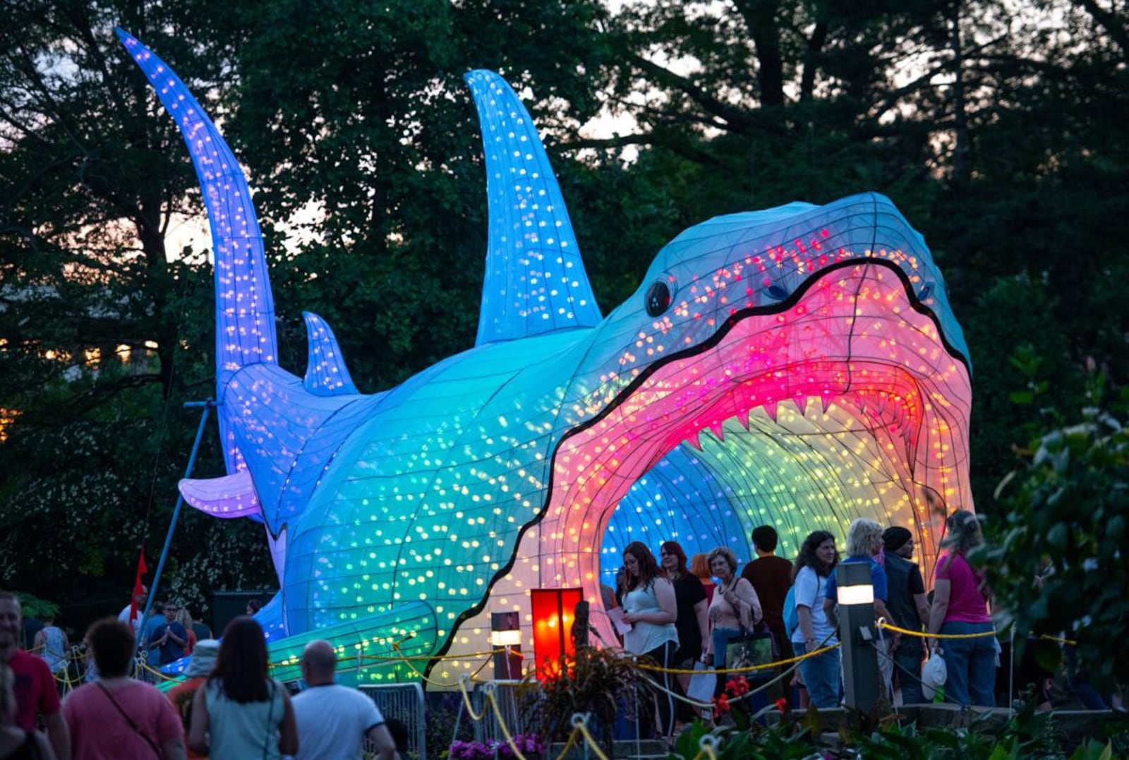 One of the largest lantern festivals in the nation is coming to the Louisville Zoo. Wild Lights: Asian Lantern Festival opens March 5 and runs through April 25.