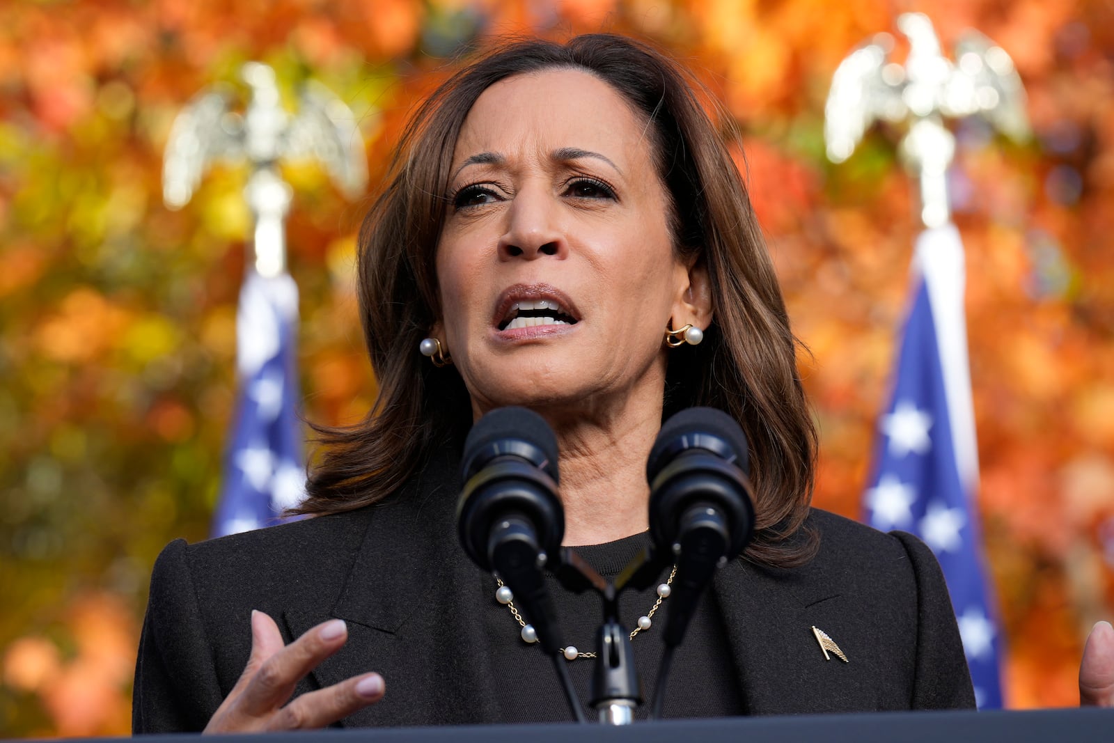 FILE - Democratic presidential nominee Vice President Kamala Harris speaks during a campaign event at Riverside Park in Grand Rapids, Mich., on Oct. 18, 2024. (AP Photo/Jacquelyn Martin, File)