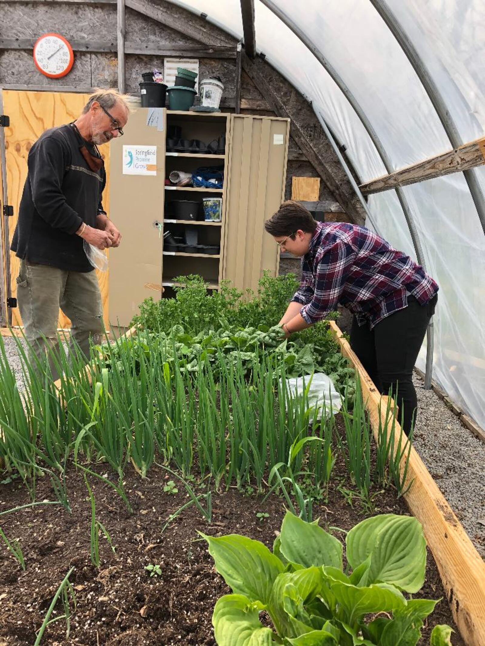 Bob Welker, left, and Kali Lawrence of Springfield Promise Neighborhood tend to one of the raised beds at the nonprofit organization's Visioning Garden used for growing produce that will be donated to local food banks and pantries. Photo by Brett Turner