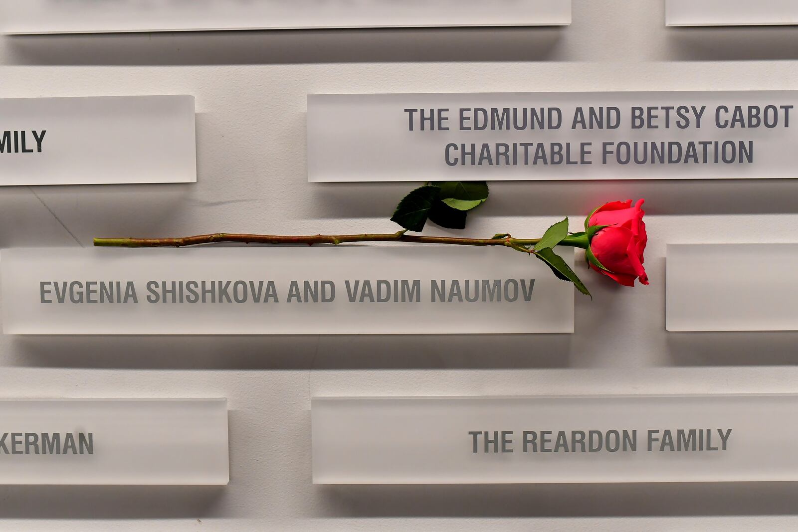 A rose rests near the names of figure skating coaches Evgenia Shishkova and Vadim Naumov on a commemorative wall Thursday, Jan. 30, 2025, at the Skating Club of Boston in Norwood, Mass. The two former world champions who were coaching at the historic Boston club were among the members of the skating community killed when an American Airlines flight collided with an Army helicopter Wednesday, Jan. 29, and crashed into the Potomac River. (AP Photo/Steven Senne)