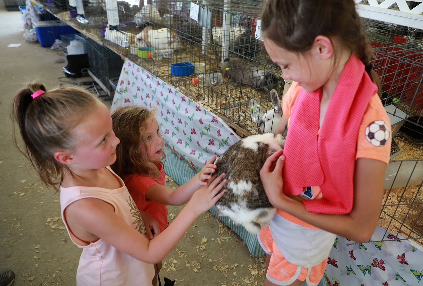 85 PHOTOS: 2019 Clark County Fair