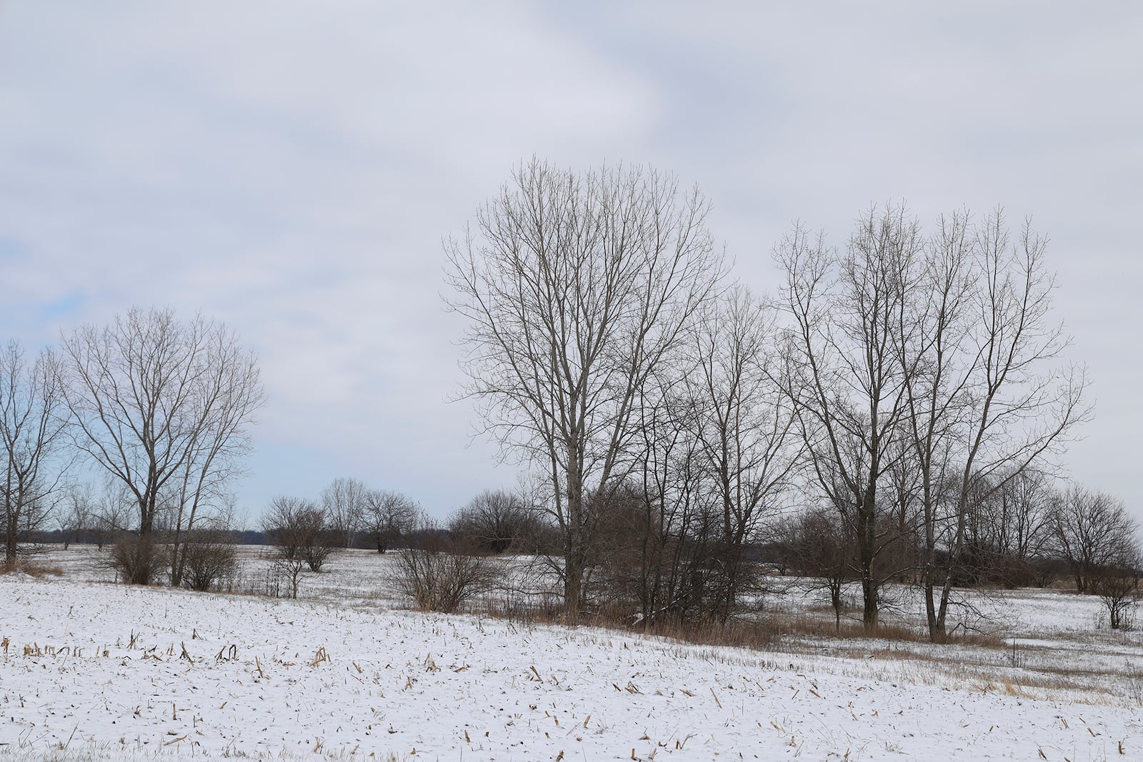 The former Roberts Landfill site in northeast Champaign County, shown Dec. 13, 2024. BILL LACKEY / STAFF