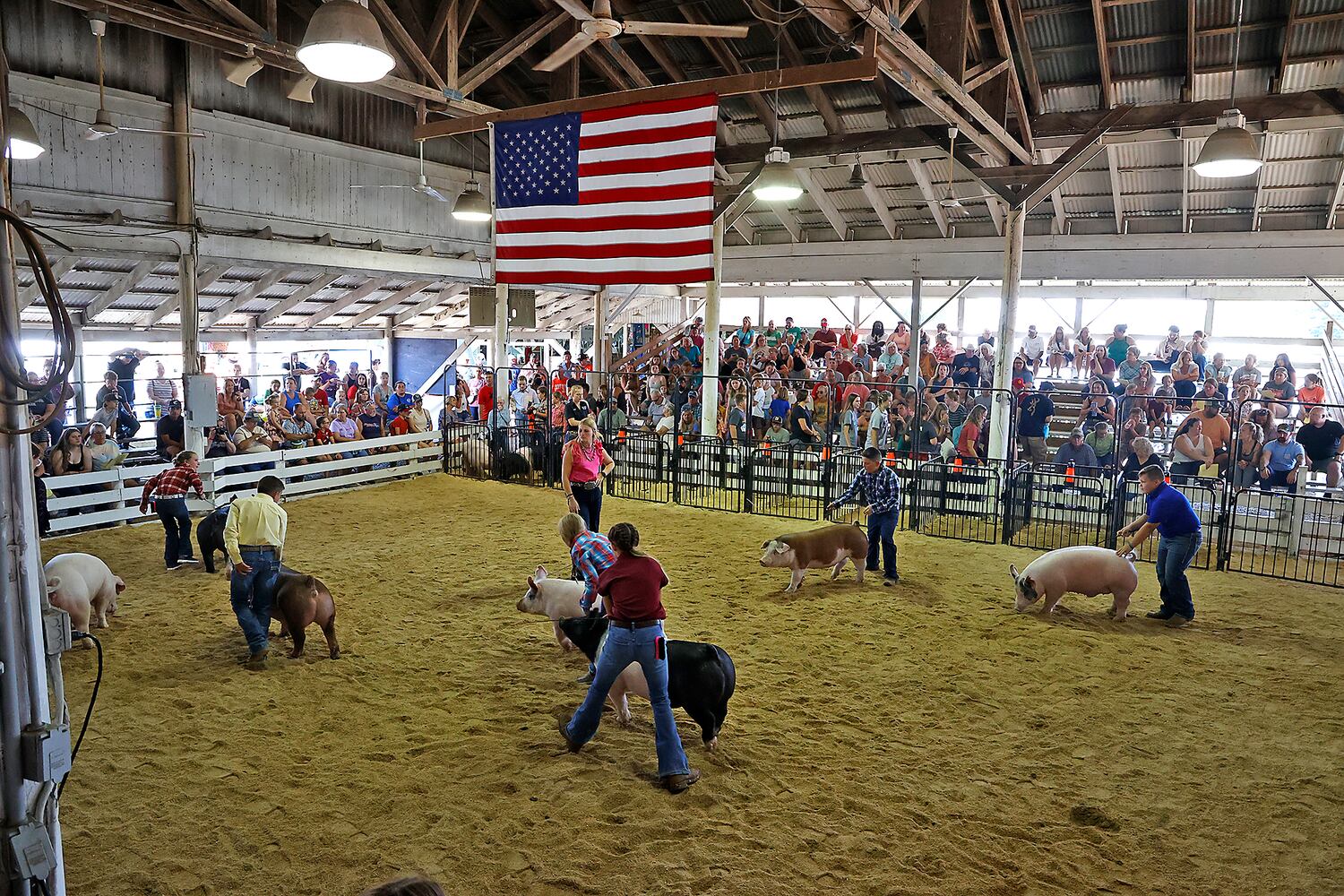 072323 Clark County Fair SNS