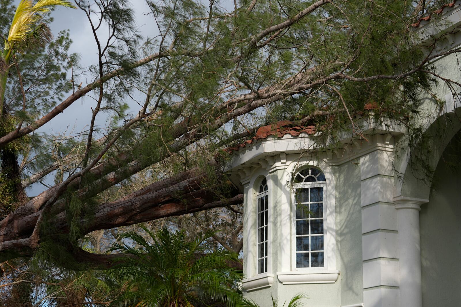 A tree lies atop a stately home in Siesta Key, Fla., following the passage Hurricane Milton, Thursday, Oct. 10, 2024. (AP Photo/Rebecca Blackwell)