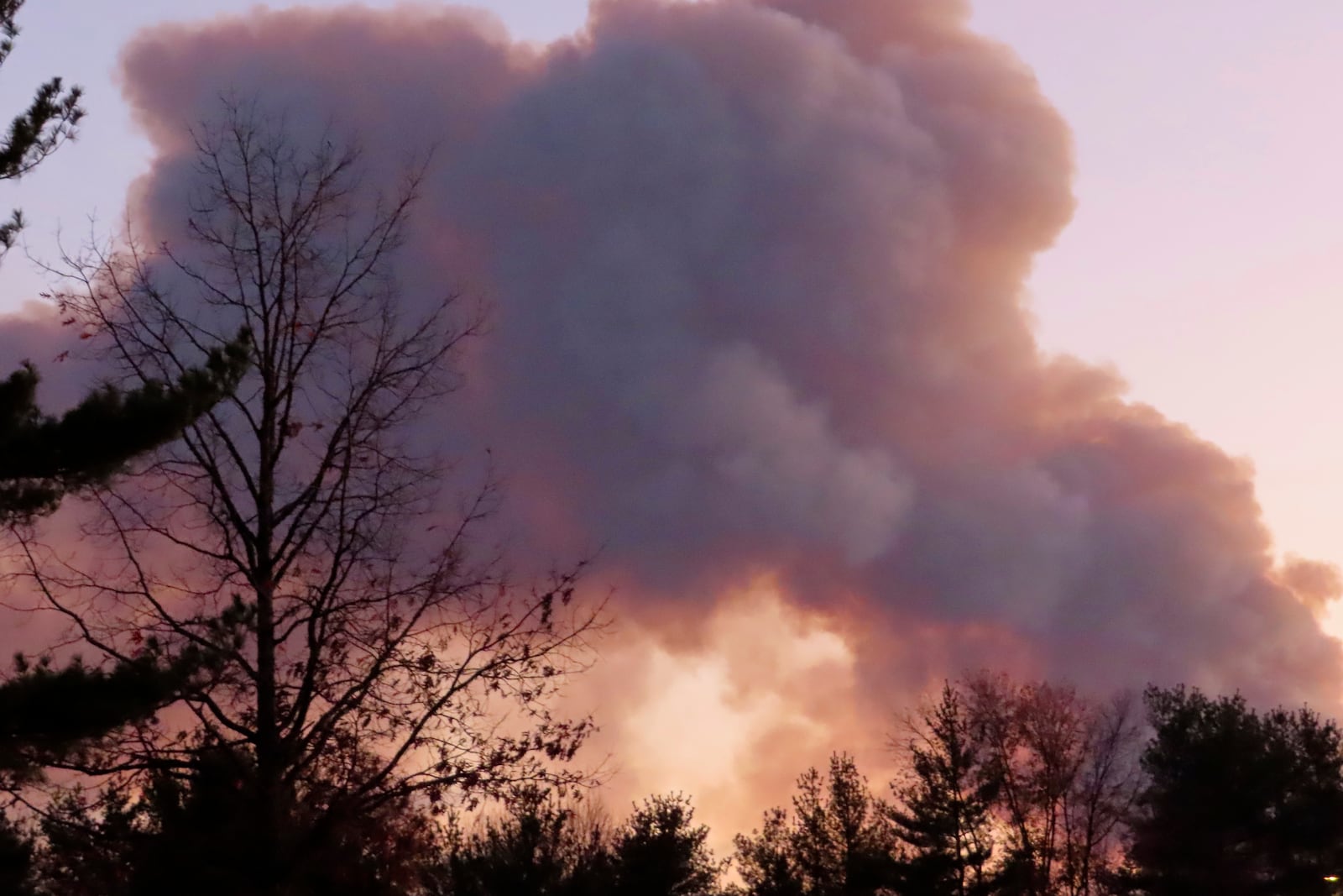 Smoke from a forest fire rises above the trees in Evesham, N.J. on Thursday, Nov. 7, 2024. (AP Photo/Wayne Parry)