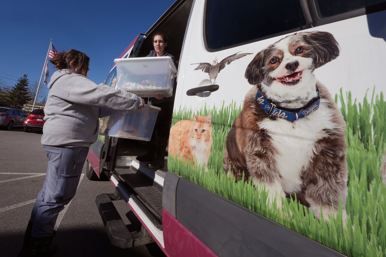 Erica Newton, left, and Emily Sullivan unload hundreds of fancy mice at the New Hampshire SPCA which were surrendered earlier in the day, Friday, Nov. 15, 2024, in Stratham, N.H. (AP Photo/Charles Krupa)