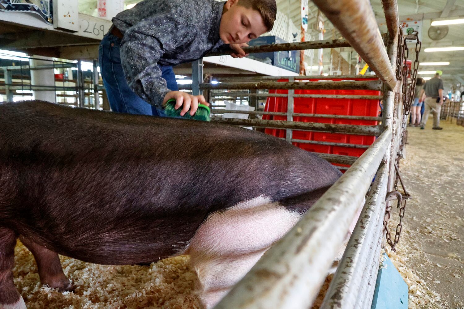 072323 Clark County Fair SNS