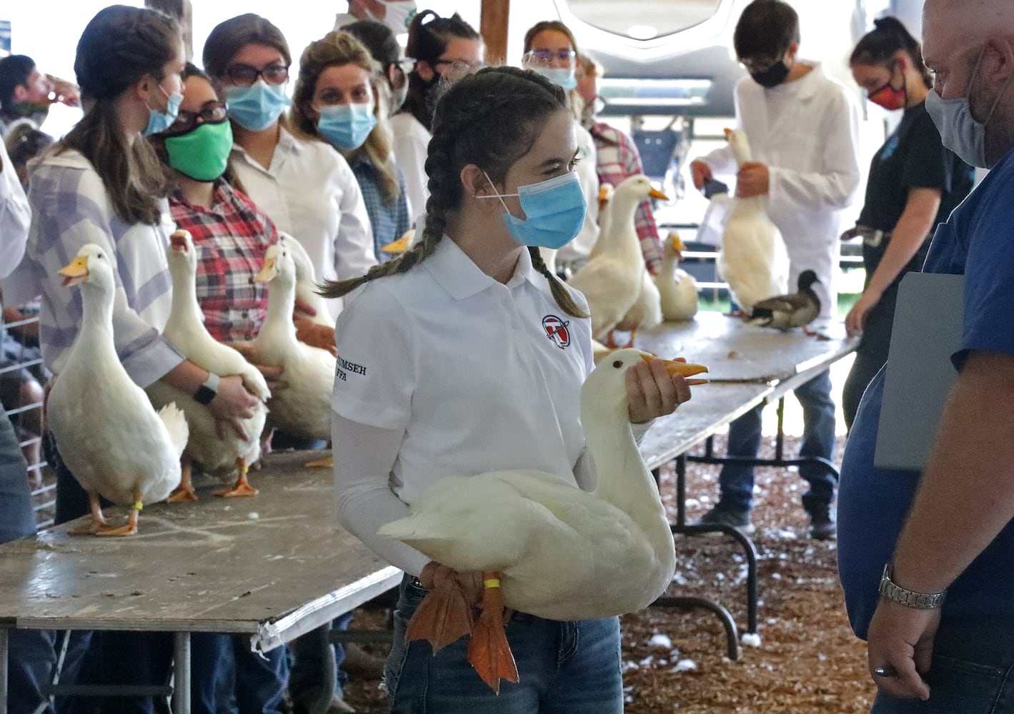 Clark County Fair