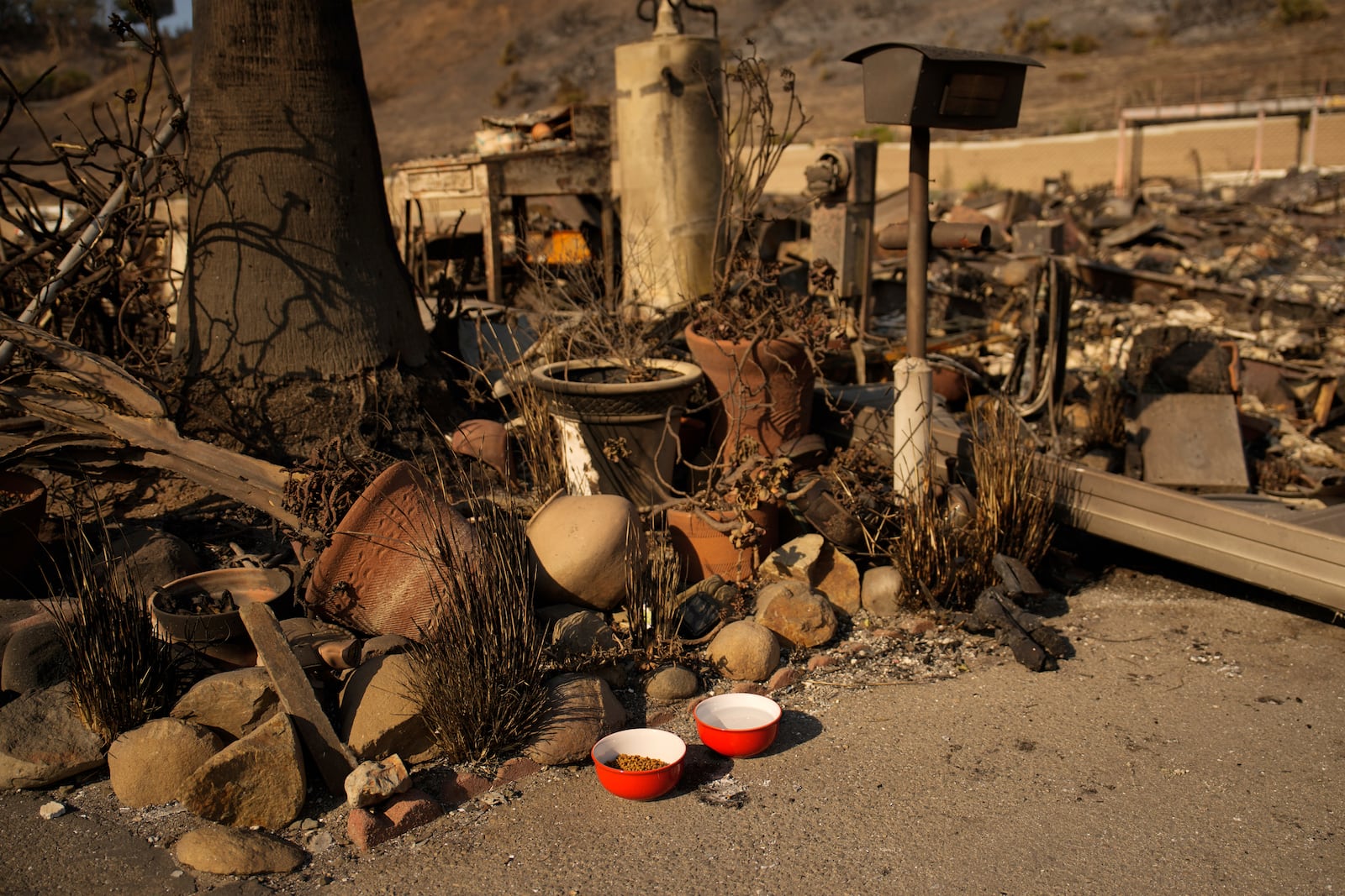 A cat food and water bowl, placed by Kevin Marshall, sits near his mother's property, which was destroyed by the Palisades Fire in the Pacific Palisades neighborhood of Los Angeles, Saturday, Jan. 11, 2025. Marshall placed the bowls for Simba, a cat his mother took care of. (AP Photo/John Locher)