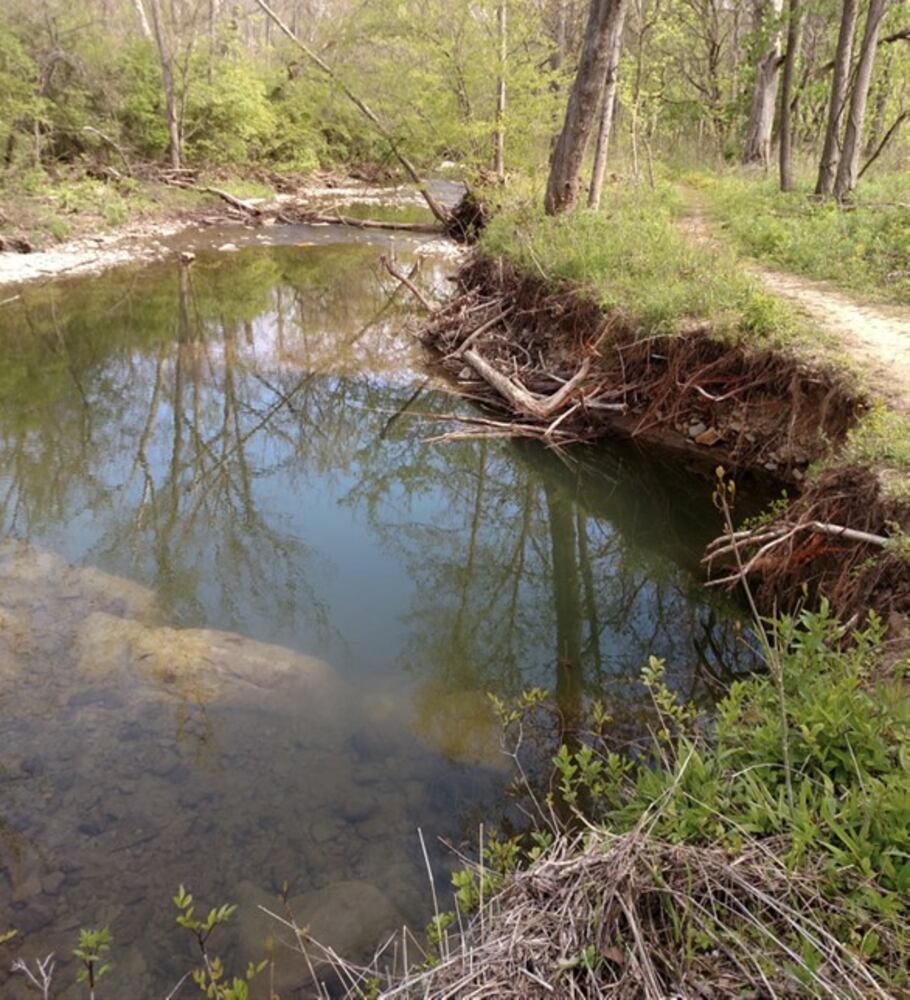 Holes Creek erosion 1