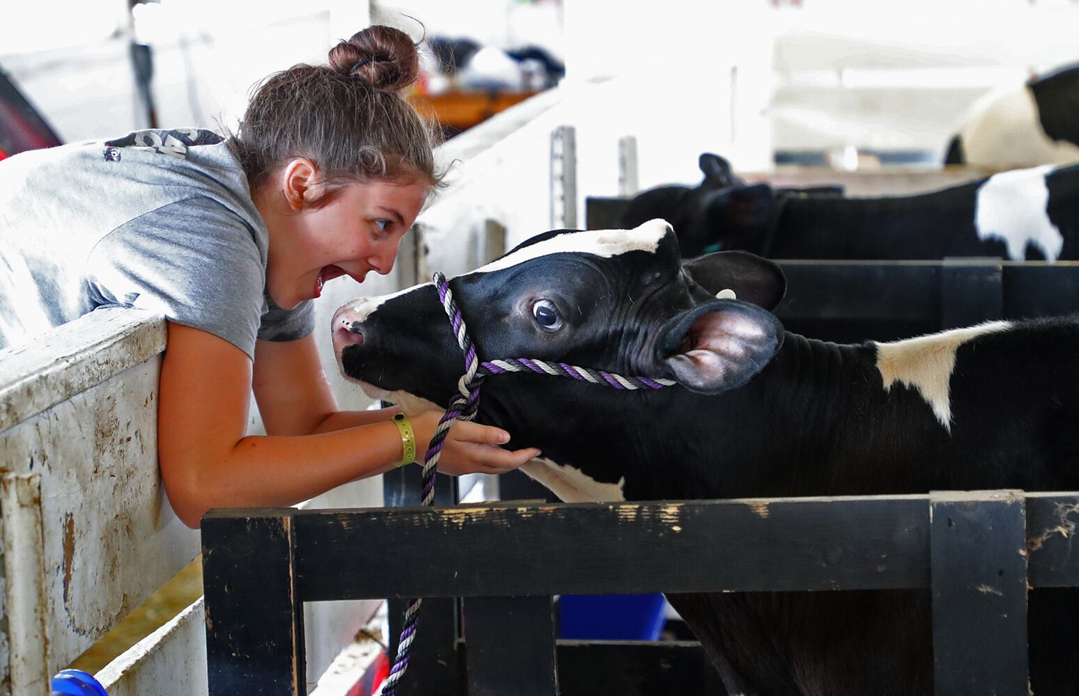 85 PHOTOS: 2019 Clark County Fair