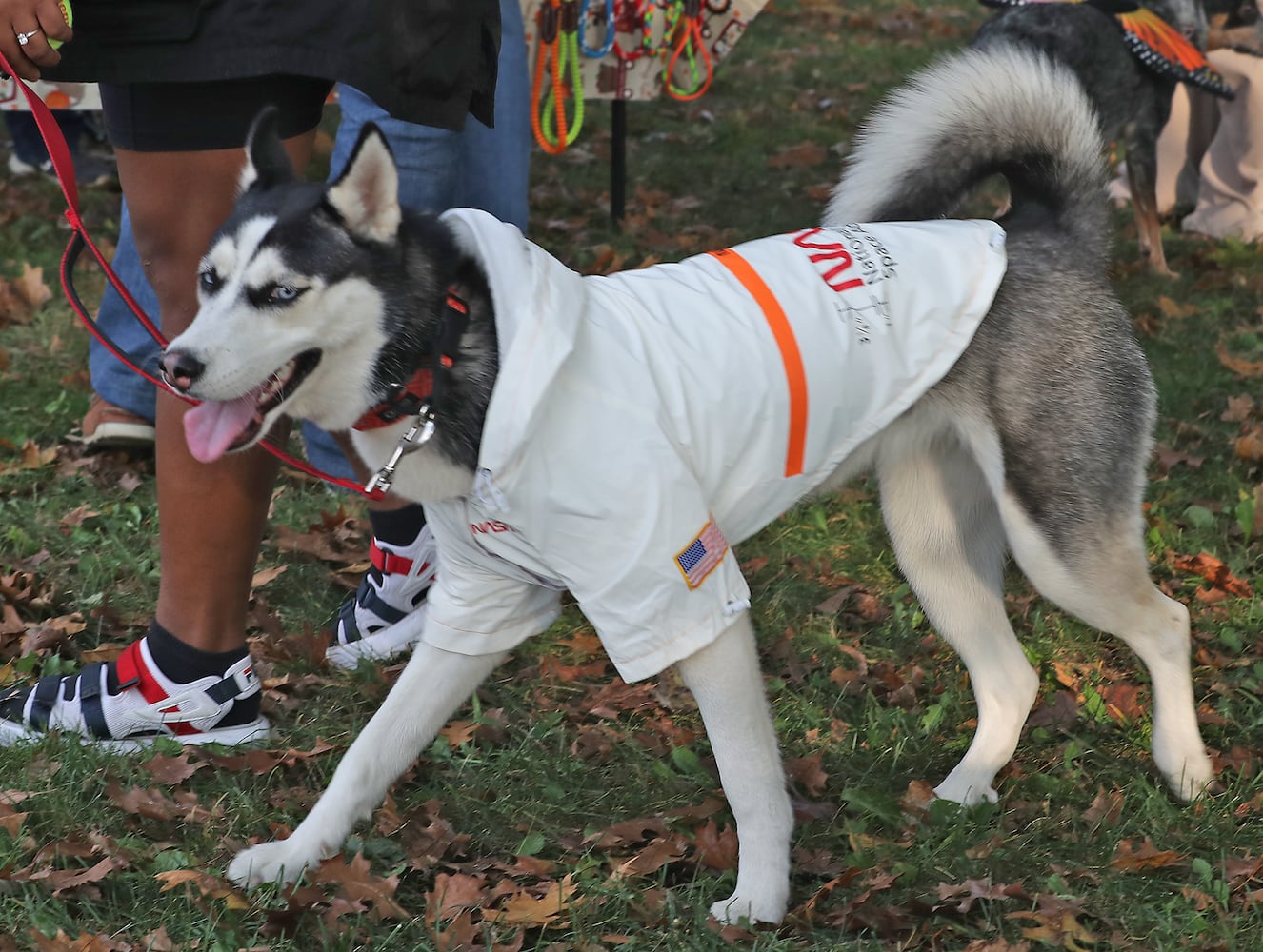 Yappy Howl-o-ween SNS