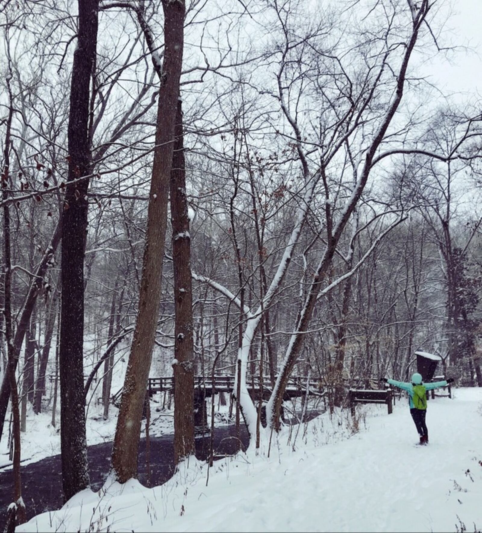 Clifton Gorge transforms into a true winter wonderland when temperatures drop low and snow fall is heavy.