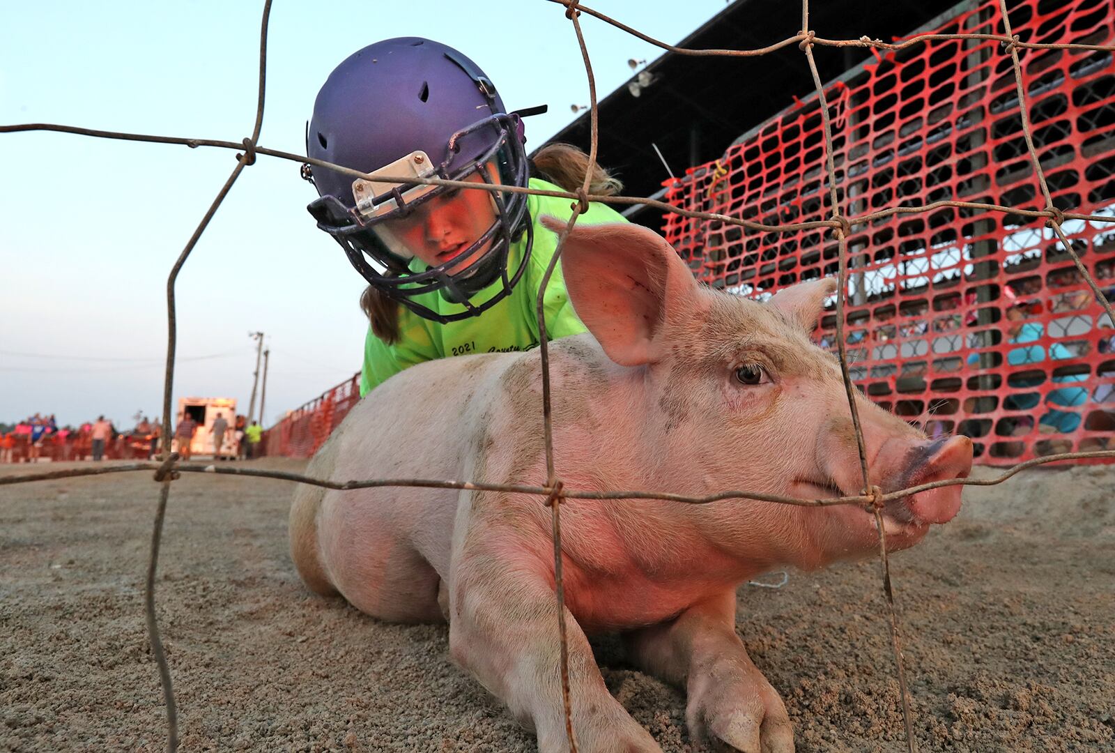 Young women chase pigs through the mud as they compete in the Pig Scramble at the Champaign County Fair. BILL LACKEY/STAFF