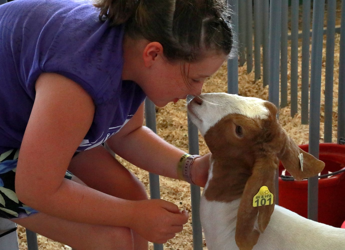 85 PHOTOS: 2019 Clark County Fair