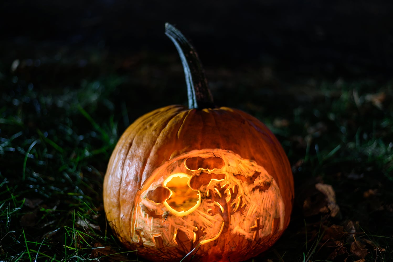 PHOTOS: The 30th annual Stoddard Avenue Pumpkin Glow