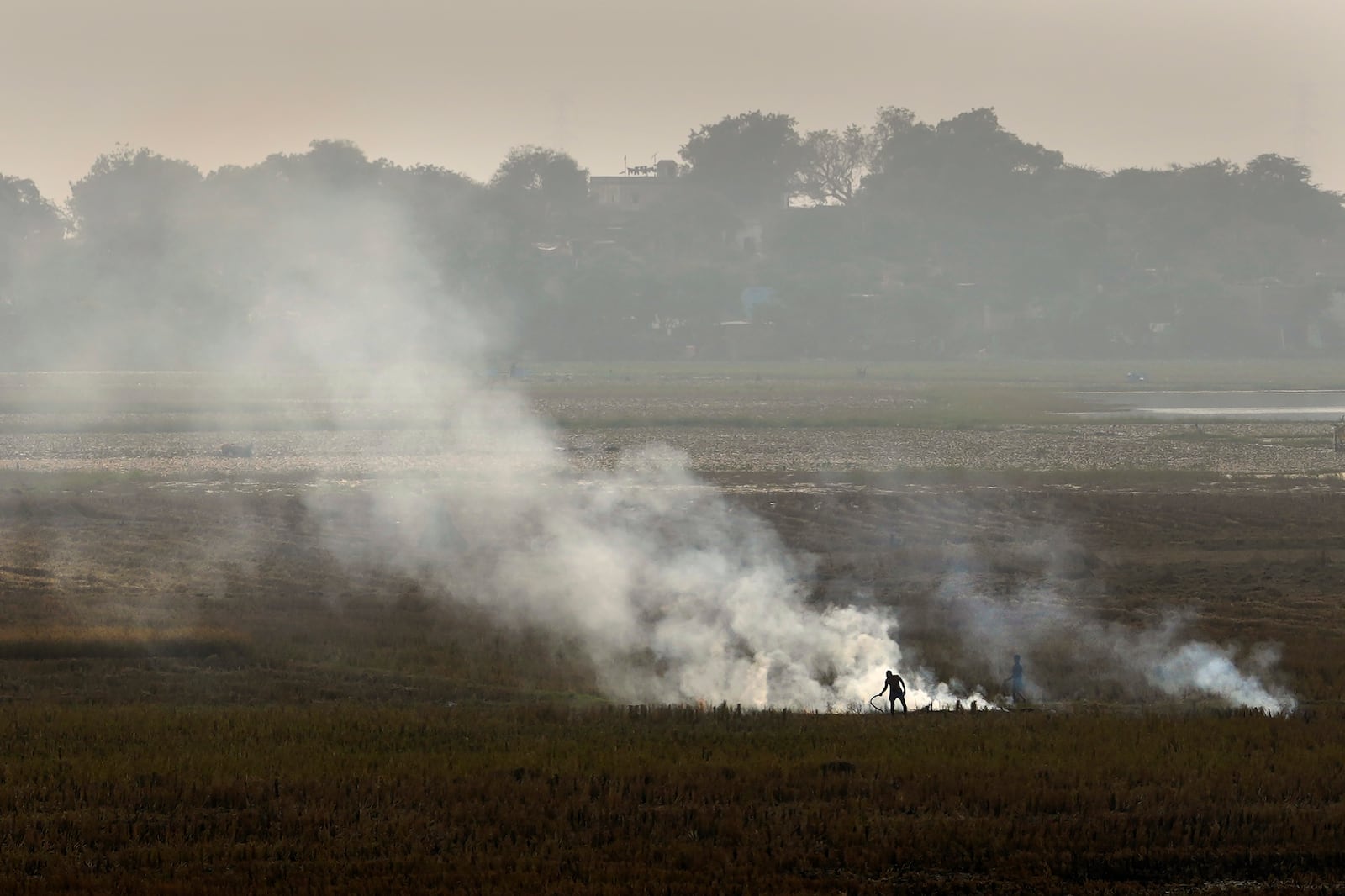 FILE - A farmer burns crop residue after harvest near Bundelkhand expressway some 330 kilometers (206 miles) from New Delhi, on Nov. 17, 2024. (AP Photo/Manish Swarup, File)