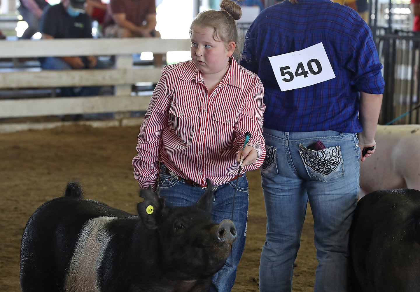 Clark County Fair