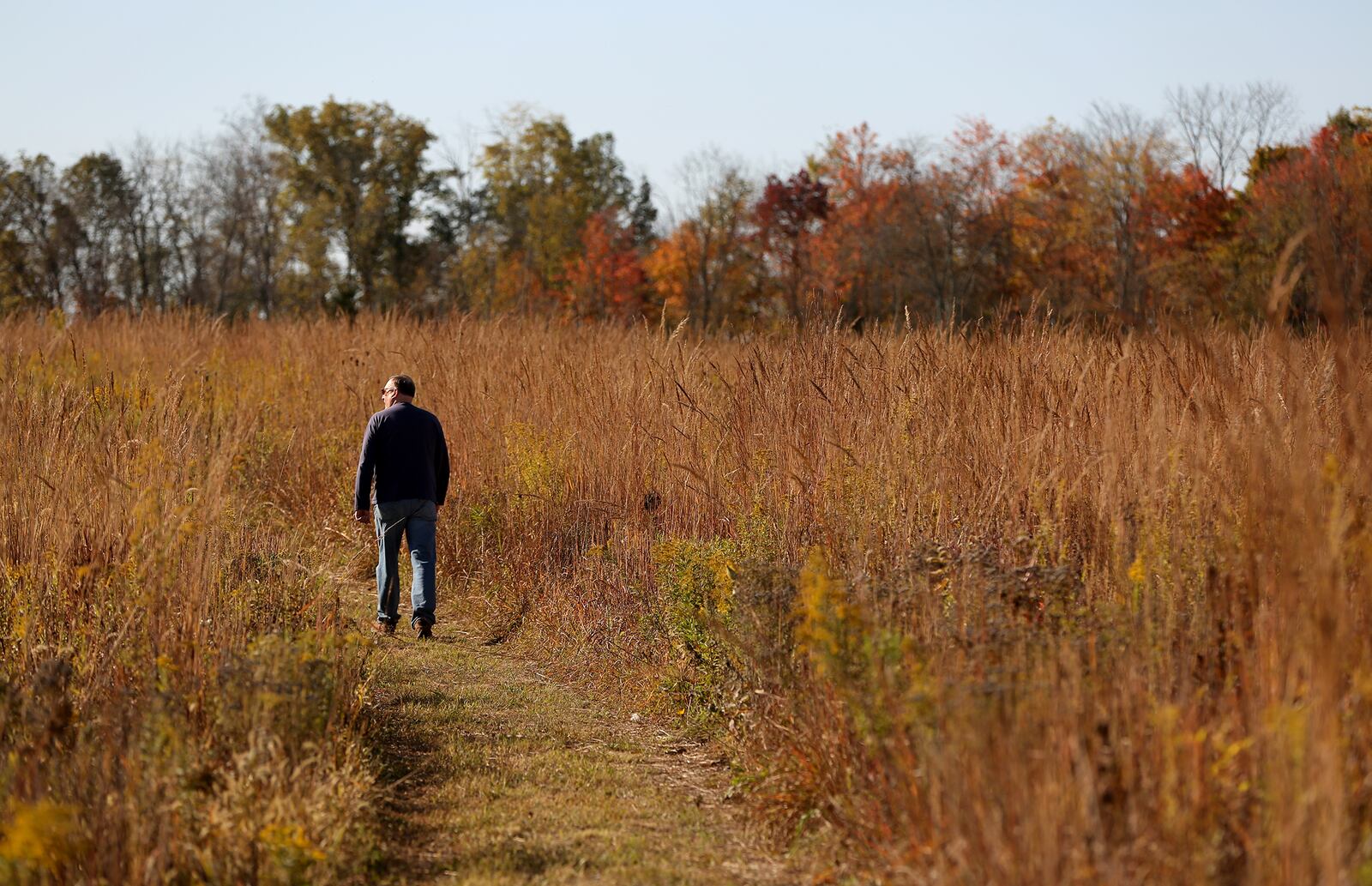 
Five Rivers MetroParks has constructed miles of new trails at Germantown MetroPark. The additional mileage snakes through prairie, mature woodlands and wetlands.  LISA POWELL / STAFF LISA POWELL / STAFF