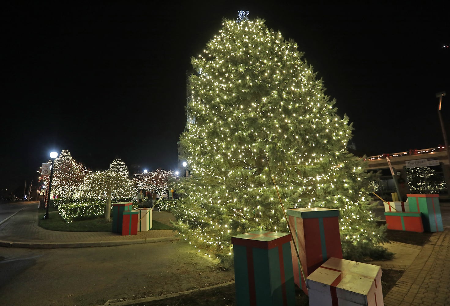 Springfield Holiday Lights