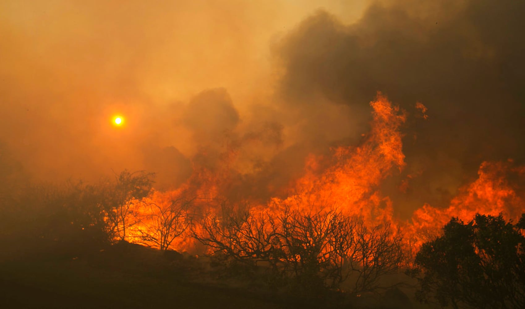 California wildfires