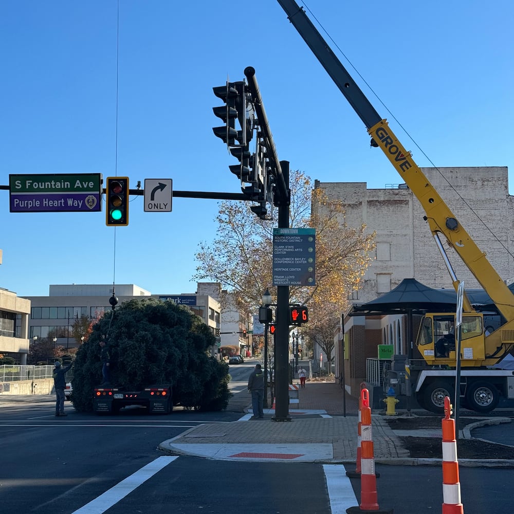 Holiday in the City Tree Arrival