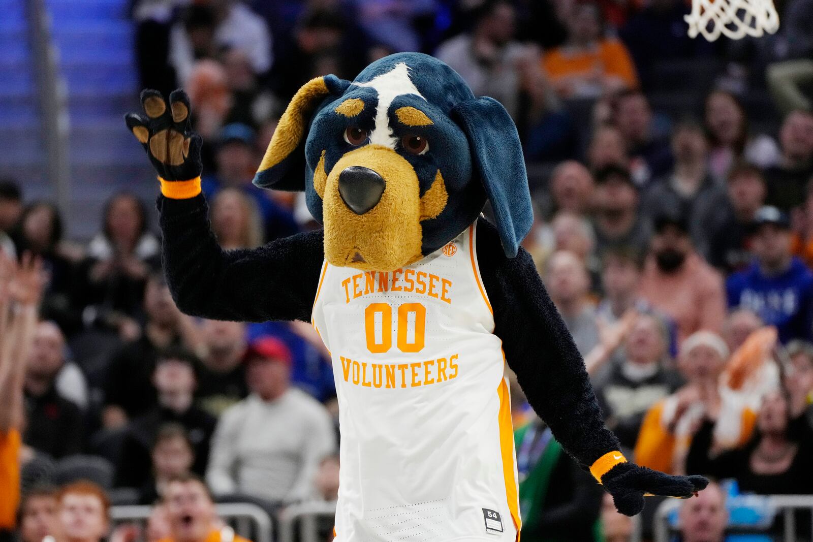 Smokey, the Tennessee mascot, performs during the first half of a Sweet 16 college basketball game between Creighton and Tennessee in the NCAA Tournament, Friday, March 29, 2024, in Detroit. (AP Photo/Paul Sancya)