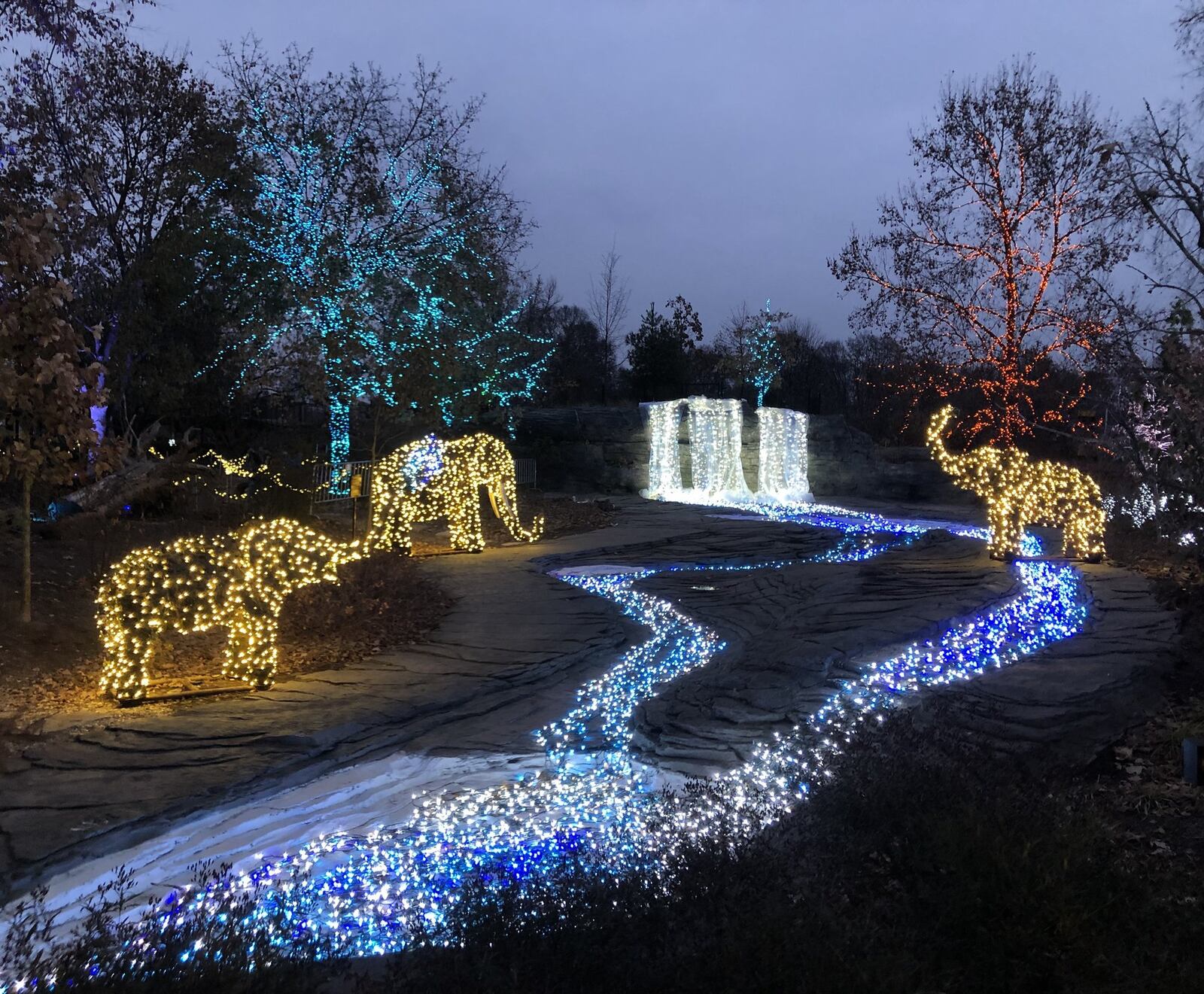 “Conservatory Aglow” is on display at the Franklin Conservatory. CONTRIBUTED