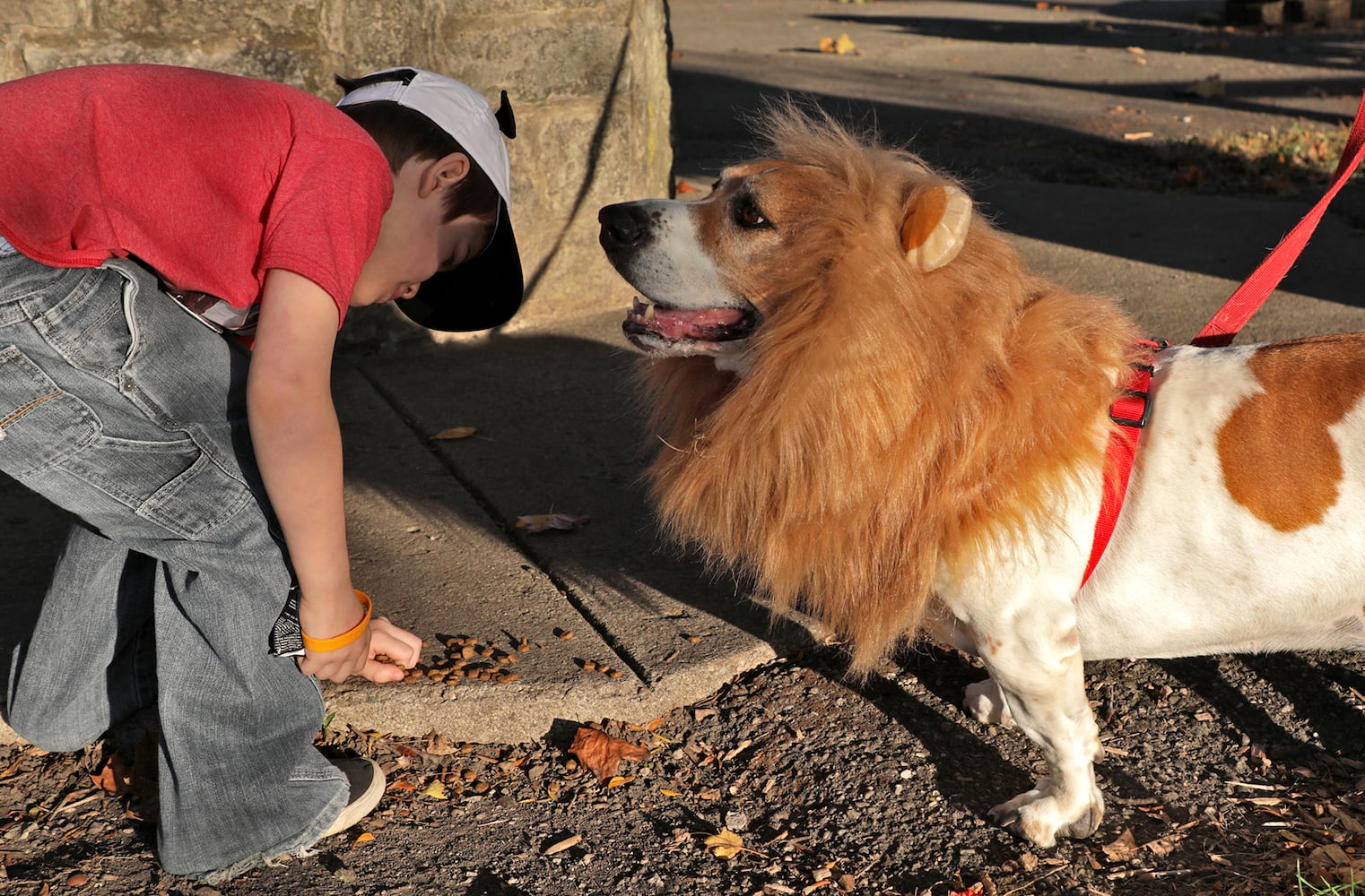 PHOTOS:  Yappy Howl-O-Ween