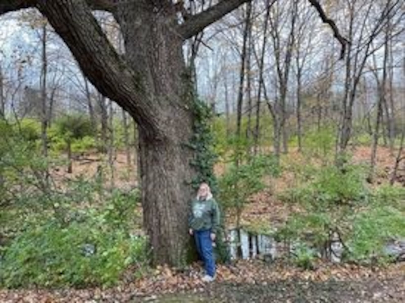 Karen Adams stands beside an ancient tree behind the school. PAM COTTREL