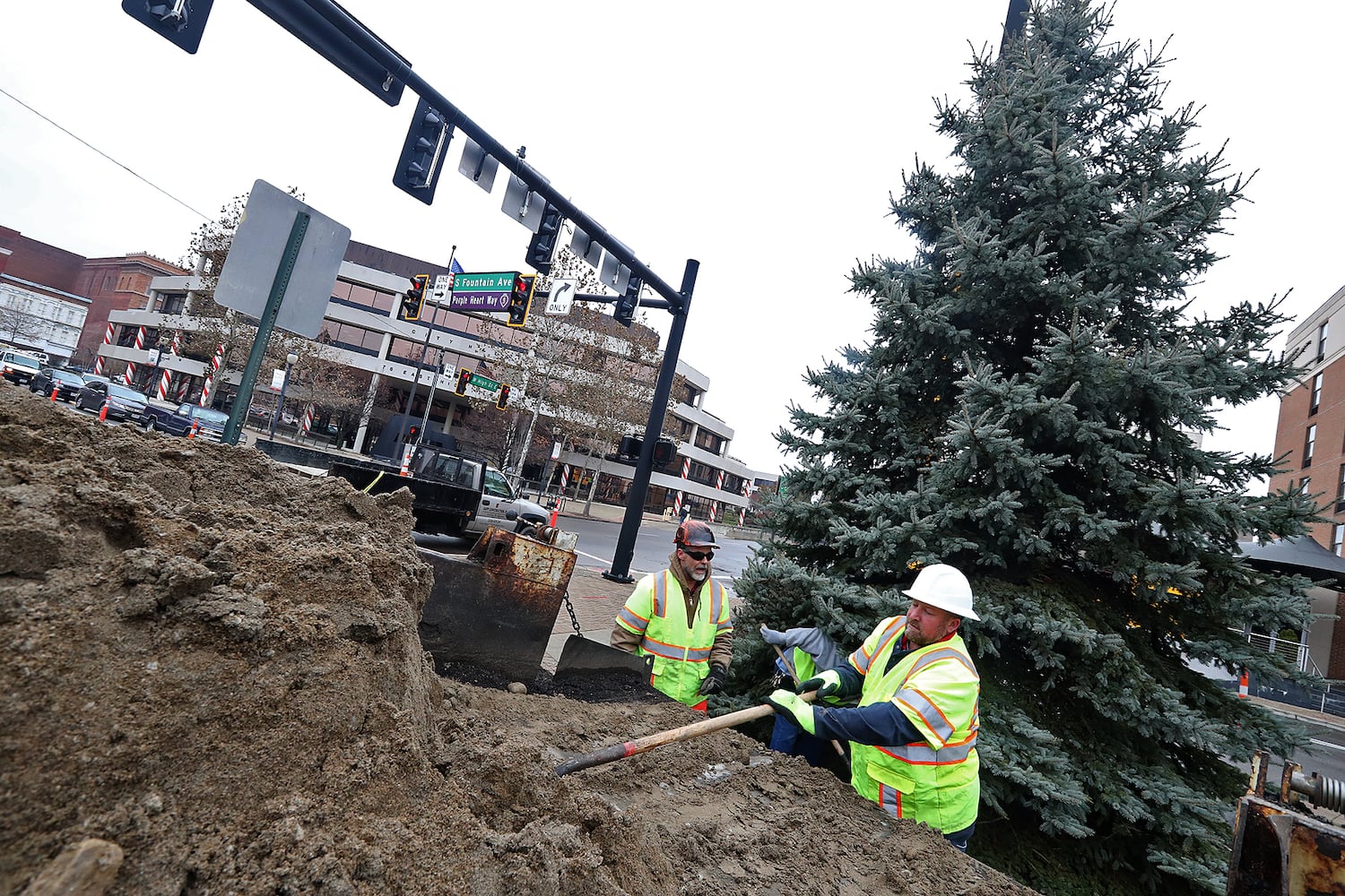 Springfield Gets Holiday Tree