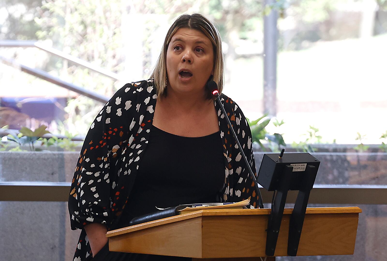 Elaina Bradley, from Sheltered Inc., speaks at a special Springfield City Commission Meeting Monday, August 5, 2024. BILL LACKEY/STAFF