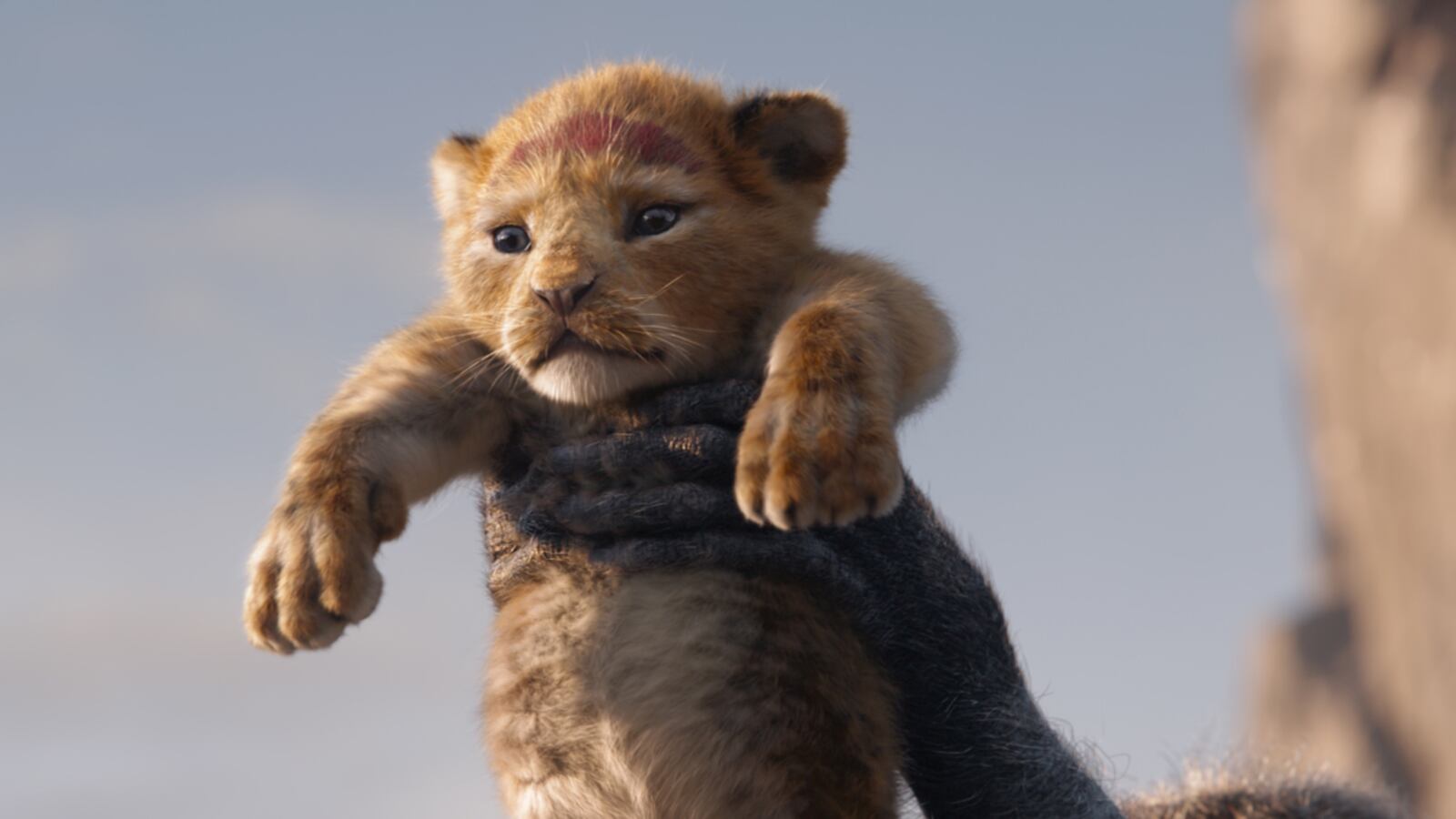 "The Lion King" will be released on July 19.