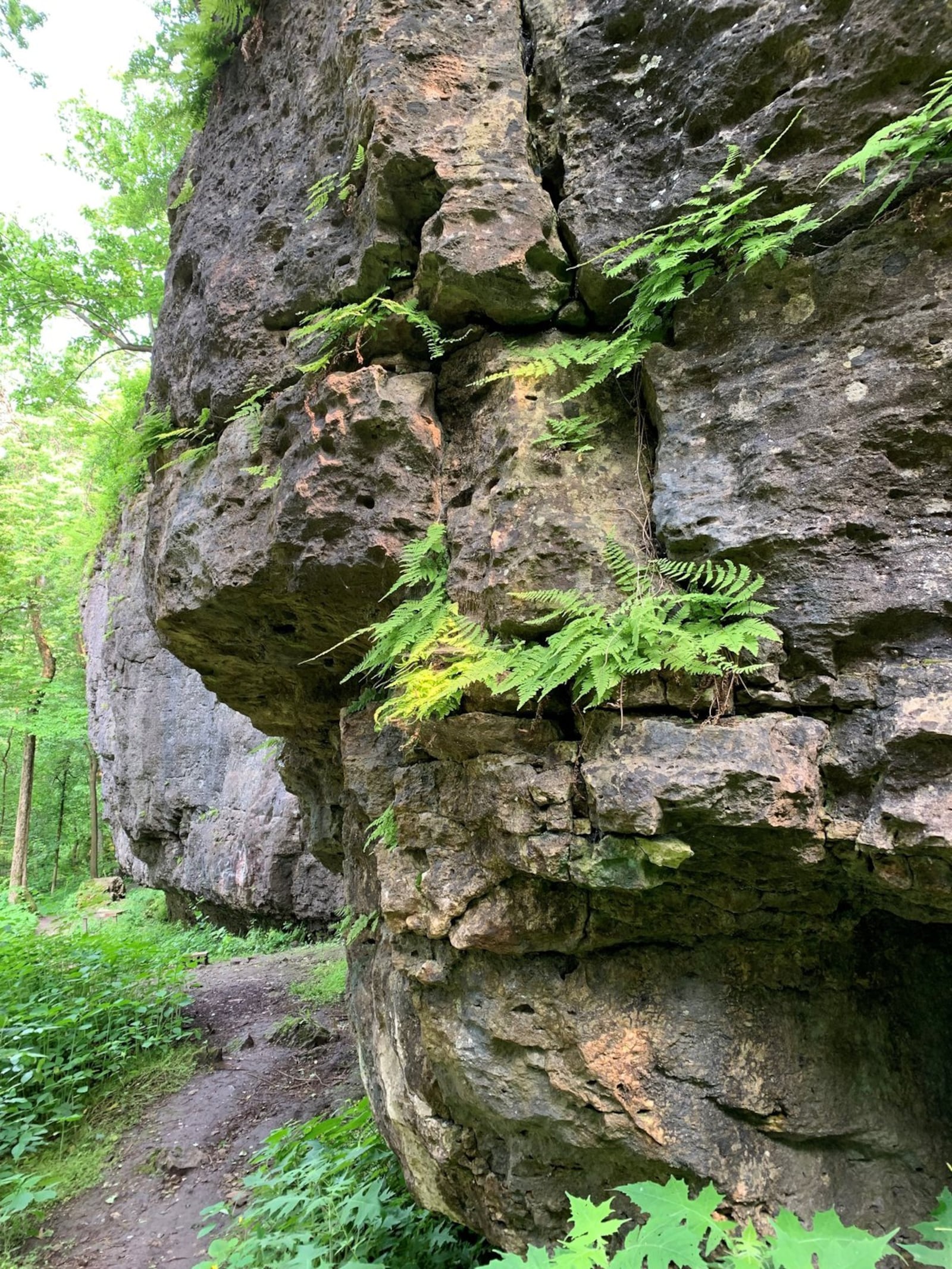 At Mad River Gorge, you’ll find towering limestone gorges and access to Mad River. Source: Photo courtesy of Carol Kennard/Clark County Park District